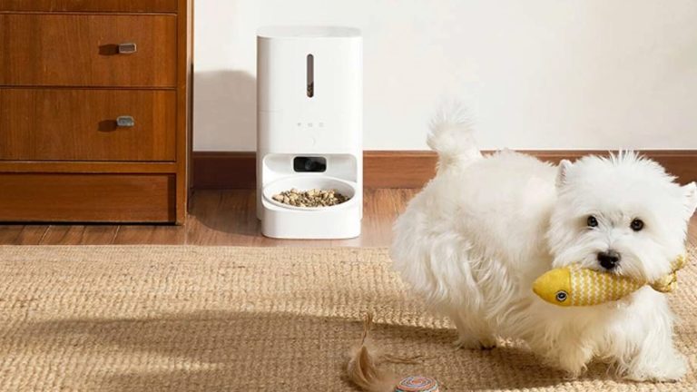 Xiaomi lança alimentador inteligente com câmara e IA para ver o teu animal em tempo real