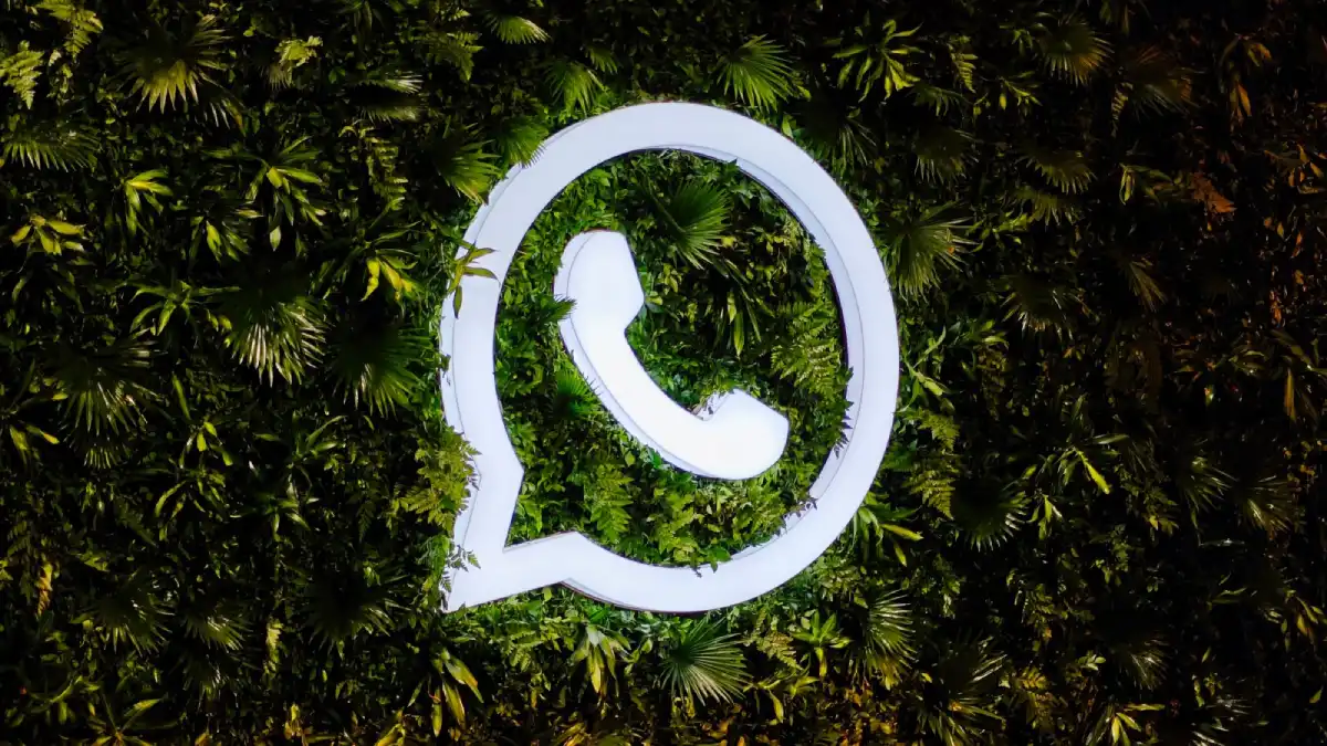 WhatsApp começa a permitir nomes de utilizador sem revelar o número de telefone 1 whatsapp