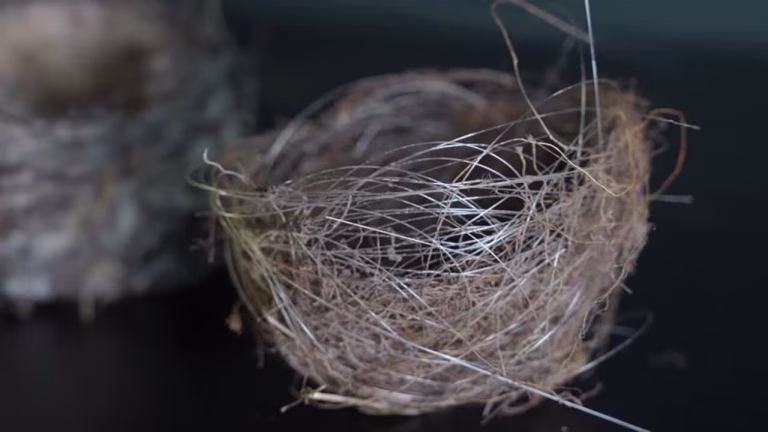 Guerra na Ucrânia muda a natureza, aves constroem ninhos com fibra ótica 3 fibra ótica