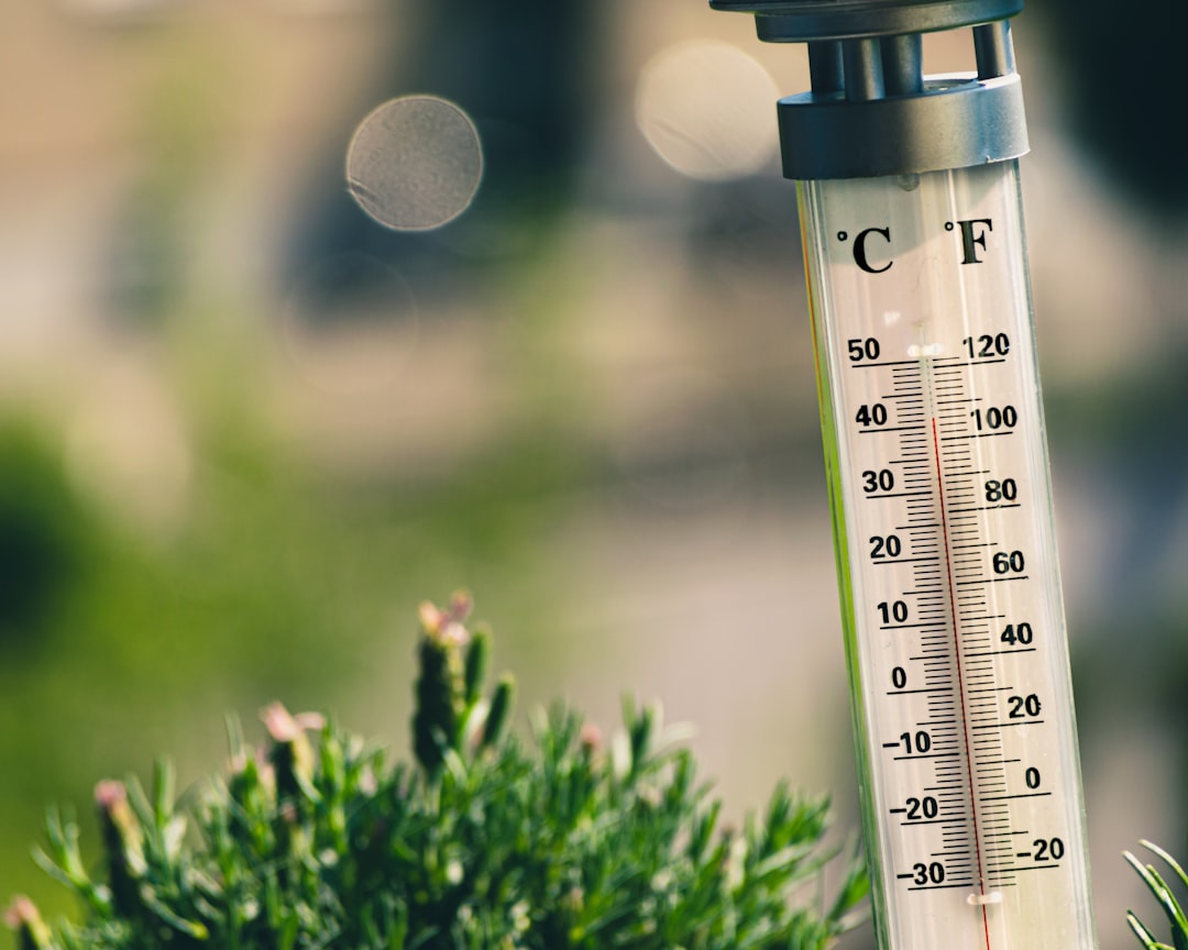 Europa Ocidental regista temperaturas históricas no verão de 2026 2 temperaturas históricas no verão