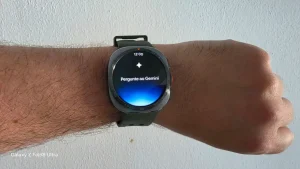 Gemini WearOS 7