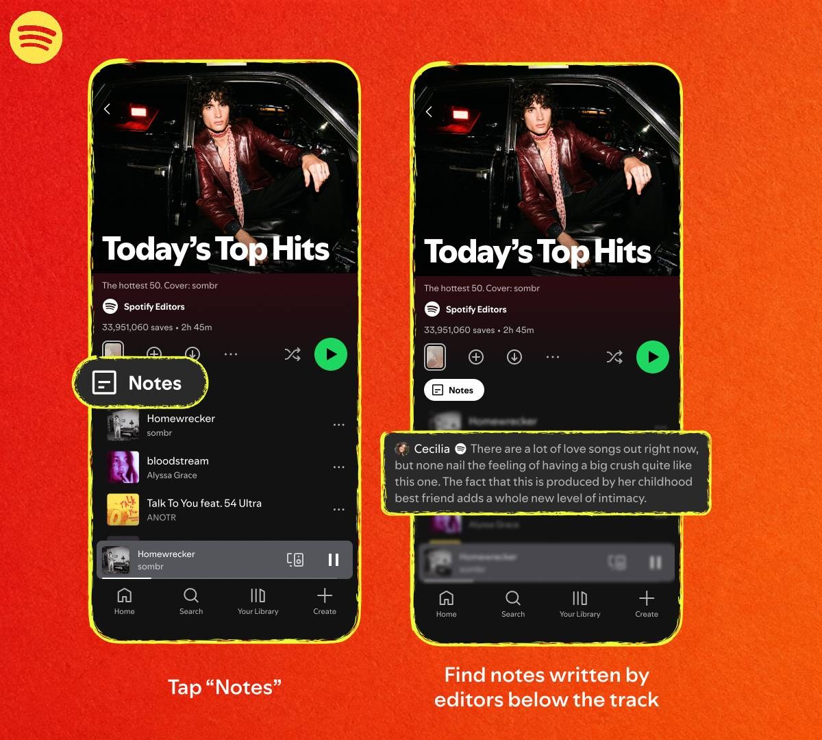 Spotify playlist notes